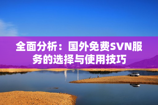全面分析：国外免费SVN服务的选择与使用技巧