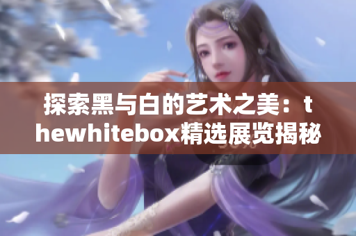 探索黑与白的艺术之美：thewhitebox精选展览揭秘