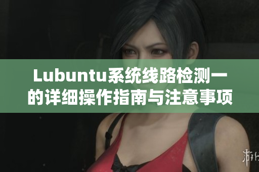 Lubuntu系统线路检测一的详细操作指南与注意事项