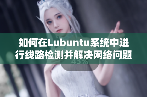 如何在Lubuntu系统中进行线路检测并解决网络问题