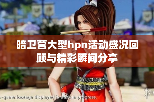 暗卫营大型hpn活动盛况回顾与精彩瞬间分享