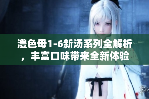 澧色母1-6新汤系列全解析，丰富口味带来全新体验