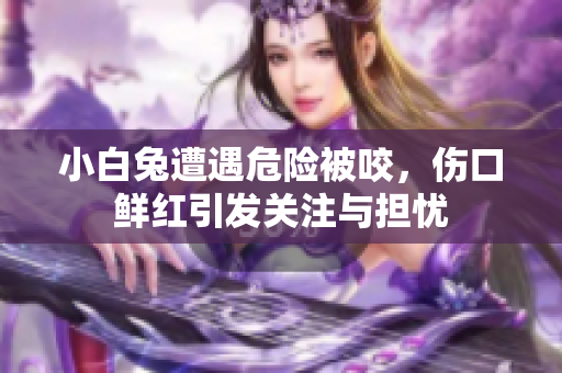 小白兔遭遇危险被咬，伤口鲜红引发关注与担忧