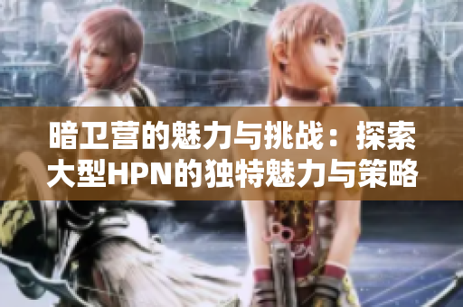 暗卫营的魅力与挑战：探索大型HPN的独特魅力与策略