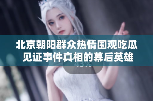 北京朝阳群众热情围观吃瓜 见证事件真相的幕后英雄