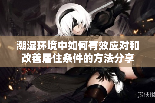潮湿环境中如何有效应对和改善居住条件的方法分享