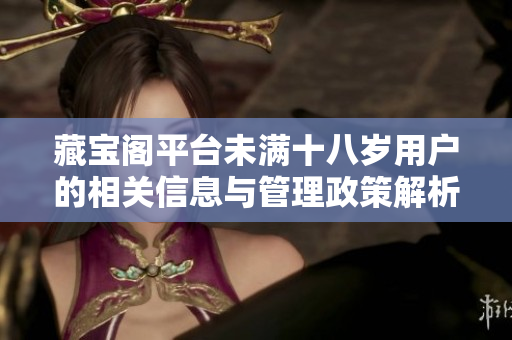 藏宝阁平台未满十八岁用户的相关信息与管理政策解析