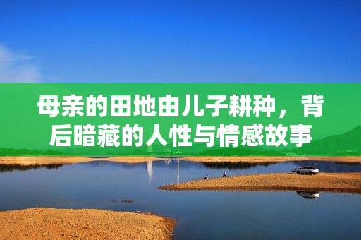 母亲的田地由儿子耕种，背后暗藏的人性与情感故事