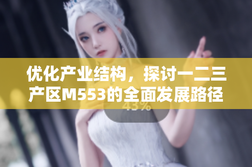 优化产业结构，探讨一二三产区M553的全面发展路径