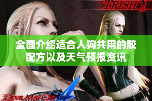 全面介绍适合人狗共用的胶配方以及天气预报资讯