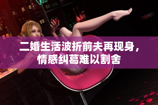 二婚生活波折前夫再现身，情感纠葛难以割舍