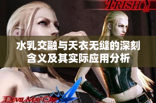 水乳交融与天衣无缝的深刻含义及其实际应用分析