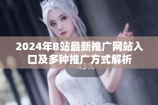 2024年B站最新推广网站入口及多种推广方式解析