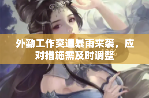 外勤工作突遭暴雨来袭，应对措施需及时调整