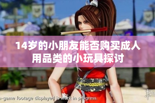 14岁的小朋友能否购买成人用品类的小玩具探讨