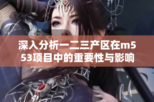 深入分析一二三产区在m553项目中的重要性与影响