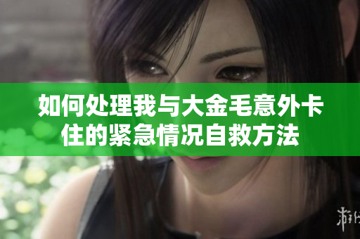 如何处理我与大金毛意外卡住的紧急情况自救方法