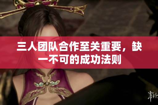三人团队合作至关重要，缺一不可的成功法则