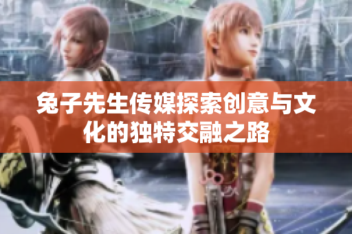 兔子先生传媒探索创意与文化的独特交融之路