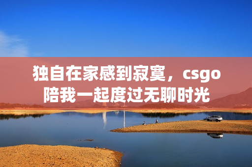 独自在家感到寂寞，csgo陪我一起度过无聊时光