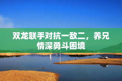 双龙联手对抗一敌二，养兄情深勇斗困境
