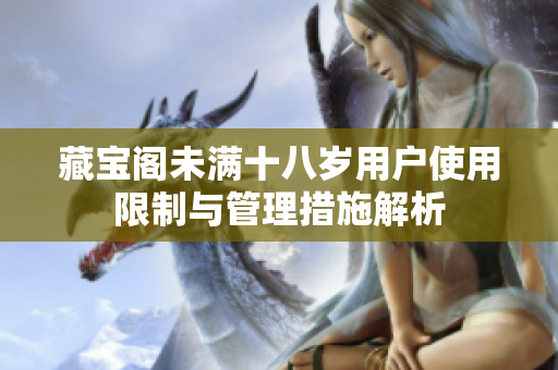 藏宝阁未满十八岁用户使用限制与管理措施解析