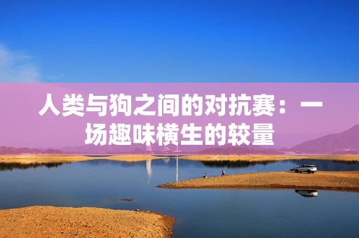 人类与狗之间的对抗赛：一场趣味横生的较量