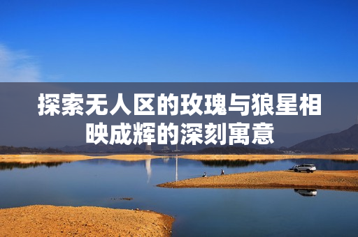 探索无人区的玫瑰与狼星相映成辉的深刻寓意