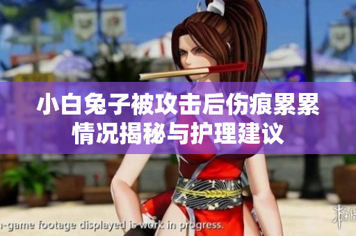 小白兔子被攻击后伤痕累累情况揭秘与护理建议