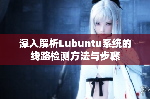 深入解析Lubuntu系统的线路检测方法与步骤