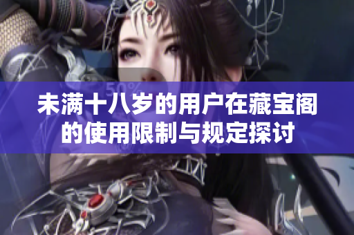 未满十八岁的用户在藏宝阁的使用限制与规定探讨