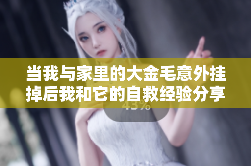 当我与家里的大金毛意外挂掉后我和它的自救经验分享