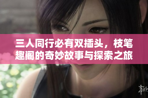 三人同行必有双插头，枝笔趣阁的奇妙故事与探索之旅