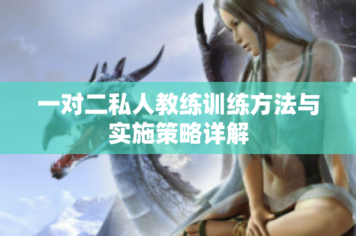 一对二私人教练训练方法与实施策略详解
