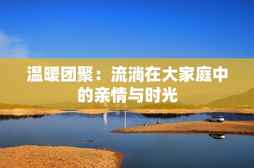 温暖团聚：流淌在大家庭中的亲情与时光