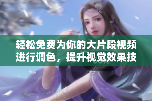 轻松免费为你的大片段视频进行调色，提升视觉效果技巧分享