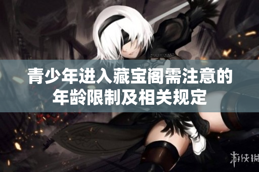 青少年进入藏宝阁需注意的年龄限制及相关规定