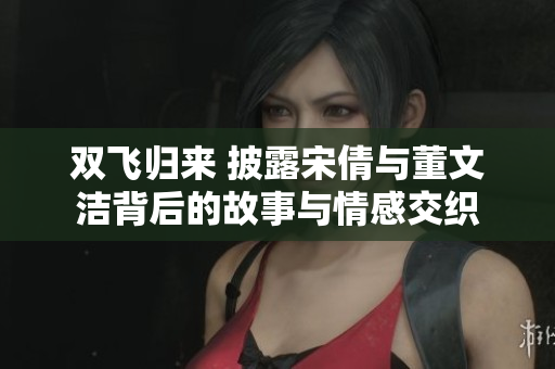 双飞归来 披露宋倩与董文洁背后的故事与情感交织