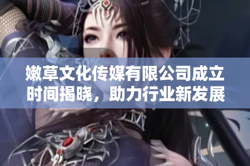 嫩草文化传媒有限公司成立时间揭晓，助力行业新发展