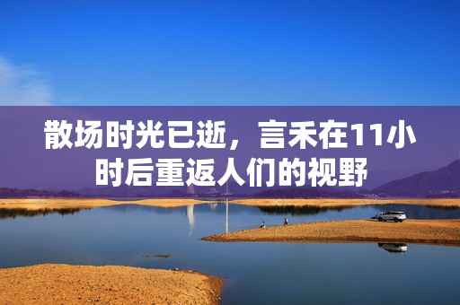 散场时光已逝，言禾在11小时后重返人们的视野