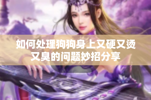 如何处理狗狗身上又硬又烫又臭的问题妙招分享