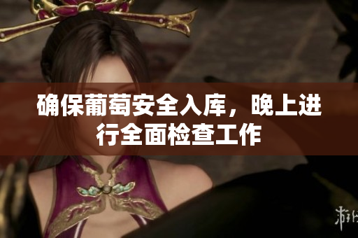 确保葡萄安全入库，晚上进行全面检查工作