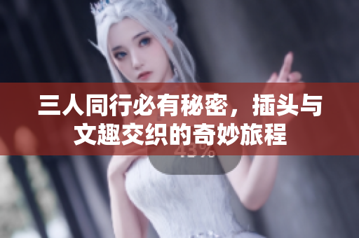 三人同行必有秘密，插头与文趣交织的奇妙旅程