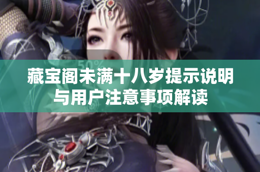 藏宝阁未满十八岁提示说明与用户注意事项解读
