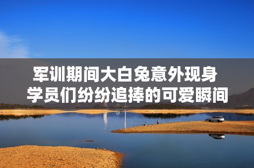 军训期间大白兔意外现身 学员们纷纷追捧的可爱瞬间