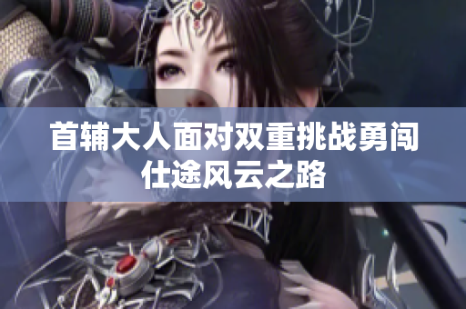 首辅大人面对双重挑战勇闯仕途风云之路