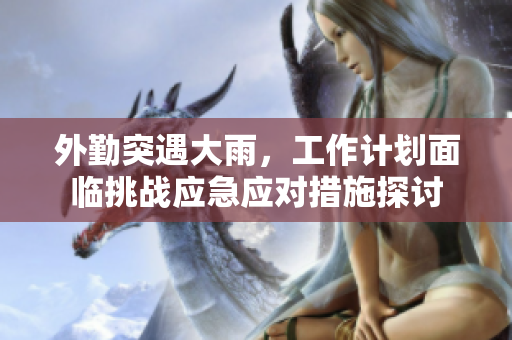 外勤突遇大雨，工作计划面临挑战应急应对措施探讨