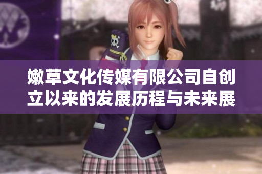 嫩草文化传媒有限公司自创立以来的发展历程与未来展望