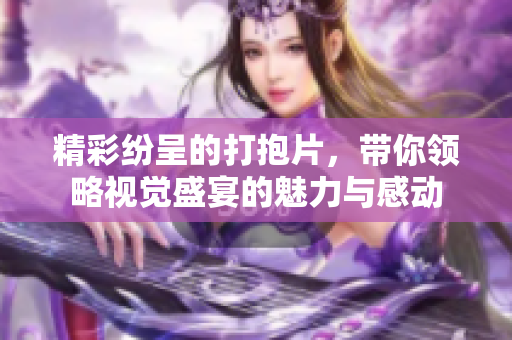 精彩纷呈的打抱片，带你领略视觉盛宴的魅力与感动