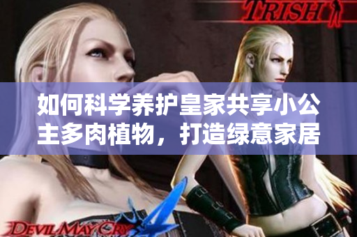 如何科学养护皇家共享小公主多肉植物，打造绿意家居环境